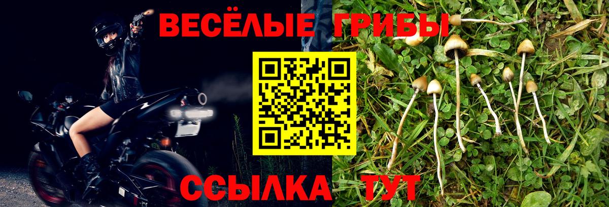 Галлюциногенные грибы ЛСД Сосновоборск